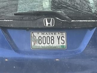 Is This Maine License Plate Unintentionally Naughty?