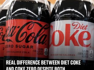 Real difference between Diet Coke and Coke Zero despite both being sugar free