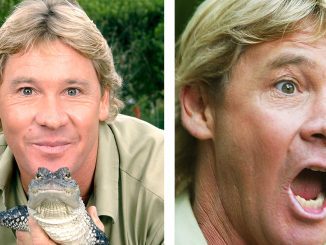 Steve Irwin’s eerie last words before tragic death come to light – and they’re heartbreaking