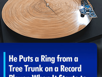 He Puts a Ring from a Tree Trunk on a Record Player. This Is the Most Extraordinary Sound of Nature I Have Ever Heard.