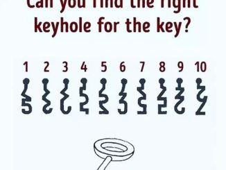 Key Puzzle: Which is the Right Keyhole?