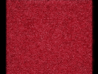 Can YOU see it? There’s a number hidden in this red speckled image