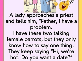 A Lady Approaches A Priest And Tells Him (Just for Fun)