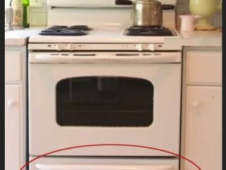 Most folks get this wrong. What is the drawer underneath stove actually used for?