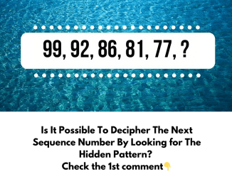 Is It Possible To Decipher The Next Sequence Number By Looking for The Hidden Pattern? 