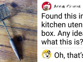 15+ Strange Objects People Couldn’t Put Their Finger On