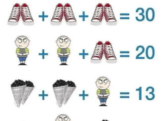 Can You Solve This Math Puzzle?