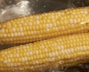 You Should No Longer Boil Corn Just in Water for This Reason.