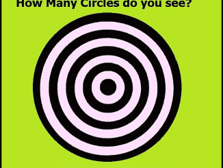 Puzzle for Testing Your IQ: Only a Genius can spot how many circles are there in the picture within 9 secs!