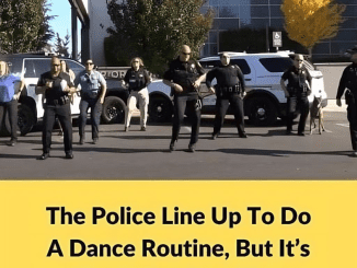 It Was A Simple Police Lineup Until The Dog Stole The Show