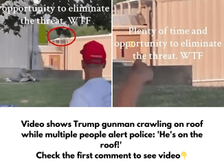 Video shows Trump gunman crawling on roof while multiple people alert police: ‘He’s on the roof!’