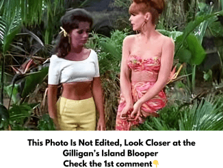 This Photo Is Not Edited, Look Closer at the Gilligan’s Island Blooper