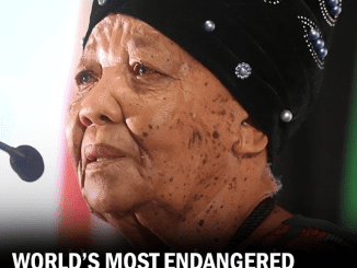 The Most Endangered Language Has Just One Living Speaker, And She’s Trying to Save It