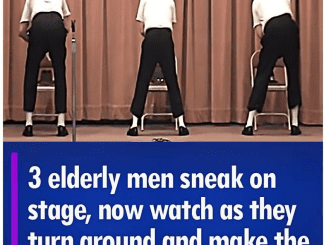 Three Senior Men Surprise the Stage: Their Unexpected Twist Leaves the Crowd Roaring!