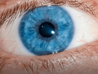 All Blue-Eyed People Have This One Thing In Common