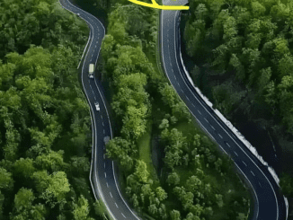 Unlock the Secrets of Curve Driving: How Winding Roads Keep You Safer on the Journey