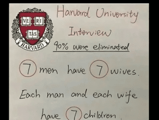 RIDDLE: Harvard University Interview