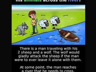 How will the man transfer all his animals across the river?