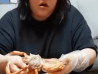 Extreme Eater Dies During Live Broadcast Of Her 10-Hour Eating Binge