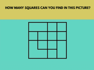 It’s All About Focus: Count the number of hidden squares in this image.