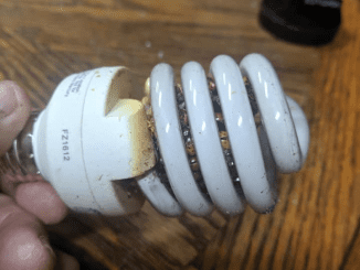 Man Warns Others After Startling Light Bulb Discovery