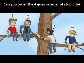 Can You Outsmart the “Foolishness Person Riddle?” This Brain Teaser Will Test Your Wits