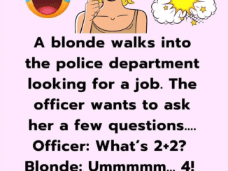 A blonde walks into the police department looking for a job.