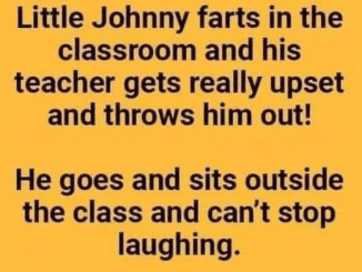 You’ll Never Guess What Happened When Little Johnny Farted in Class!