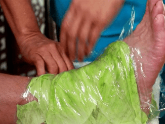 The Healing Power of Cabbage Wraps: A Natural Remedy for Swollen Joints and Thyroid Issues