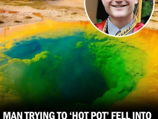 Man Accidentally Fell into Yellowstone Hot Spring and was Completely Dissolved Within a Day