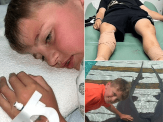 Three sharks attacked a young child in the Bahamas after vacationers tossed food into the water.