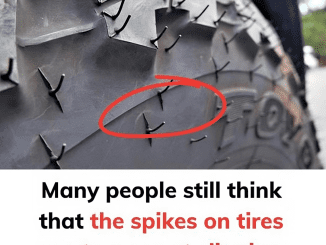 Unveiled: The Purpose and Power of Rubber Vent Spikes on Tires