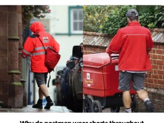 Why do postmen wear shorts throughout the whole year?