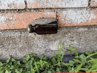 The Mysterious Bottle in the Brick: A Glimpse into the Past