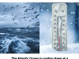 Scientists baffled by unexplained drop in Atlantic Ocean surface temperatures