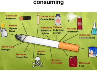 Every Time You Smoke, This is What You’re Actually Consuming