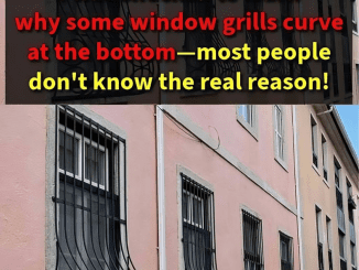 This Is Why Some Window Grills Have a Curve at the Bottom