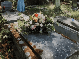 I Saw a Woman Throwing away the Flowers I Placed on My Mom’s Grave – Her Truth Altered My Life