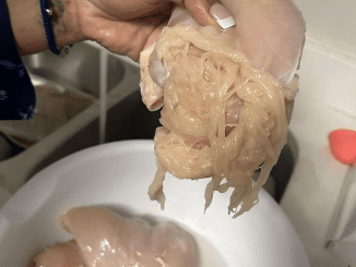 The Inspiring Transformation of WOMAN SHARED A PICTURE OF THE CHICKEN BREAST, WHICH WAS “SPAGETTIFIED”