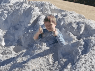 A 7-Year-Old Boy Who Posed For Cute Pictures In A Pile Of Dust Was Poisoned And Died Moments Later