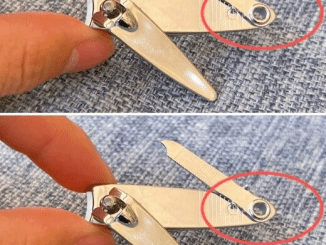 Nail clippers, the secret option that makes your life easier: almost no one notices them.