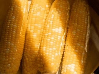 How Long Does It Take to Boil Corn on the Cob to Get Ideal Cooking?