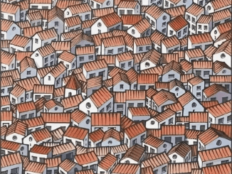 You’ve got the eyes of a hawk if you can spot the cat hiding among the houses in viral picture