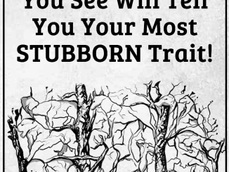 The first animal you see represents your most stubborn trait