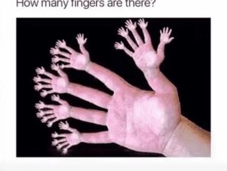 Creepy optical illusion leaves people stumped – how many fingers can you see?