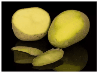 Are Green Potatoes Safe To Eat?