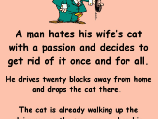 A Man Hates His Wife’s Cat But His Life Is About To Change