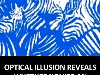 Optical illusion reveals whether you’re an introvert or extrovert