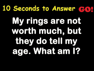 Nature’s Timekeeper: Solve the Riddle of the Age-Revealing Rings!