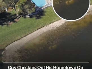 Florida man missing for 22 years was found in pond after his submerged car was spotted on Google Maps